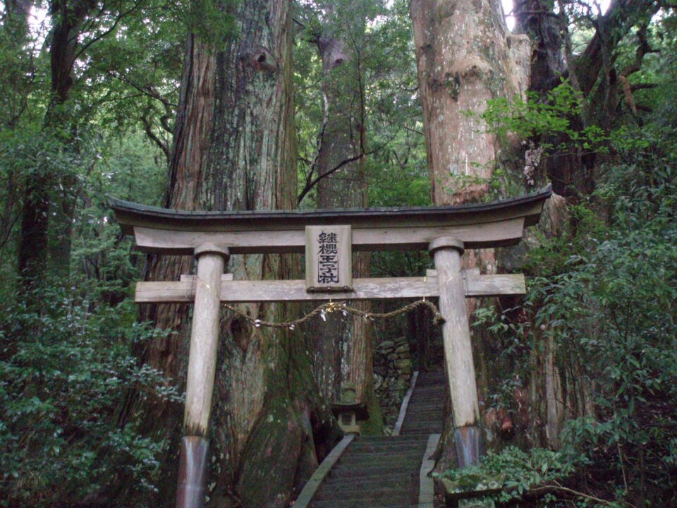 継桜王子（和歌山）