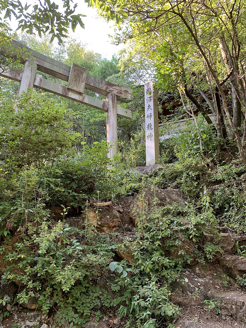 鵜沼夫婦龍神社（岐阜）