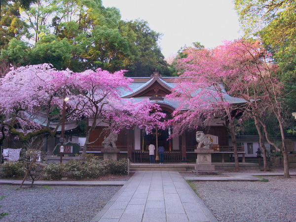 保久良神社（神戸）