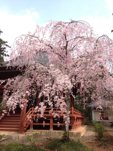 松虫寺（千葉）