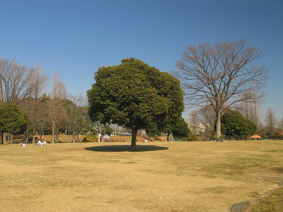 大崎公園（埼玉）